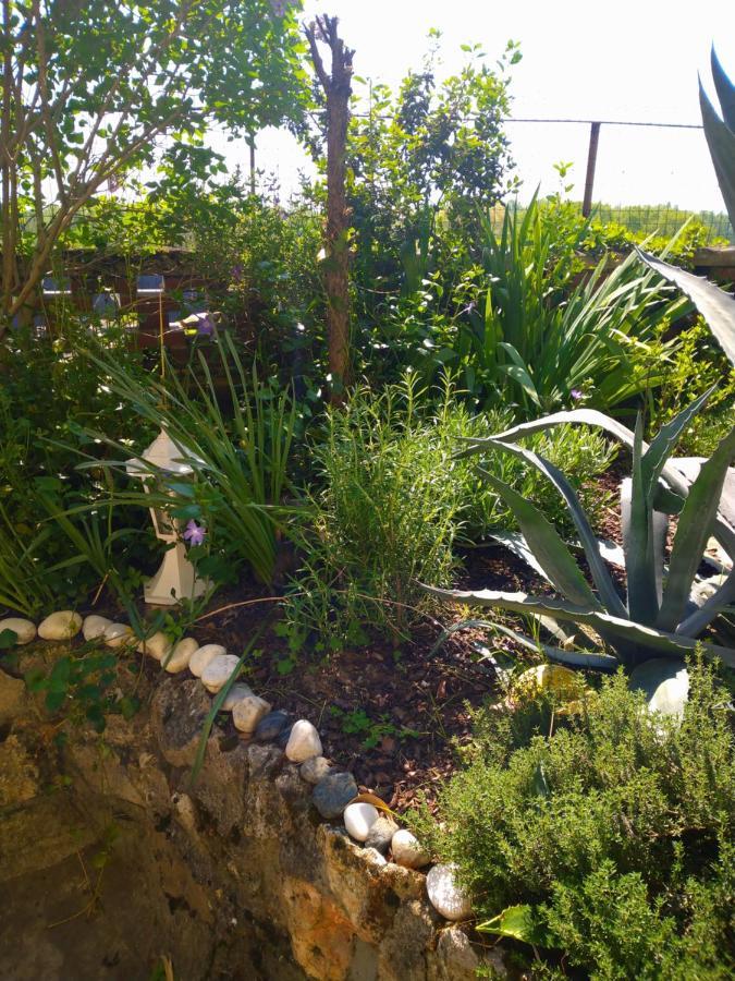 Le De La Loire Holiday home