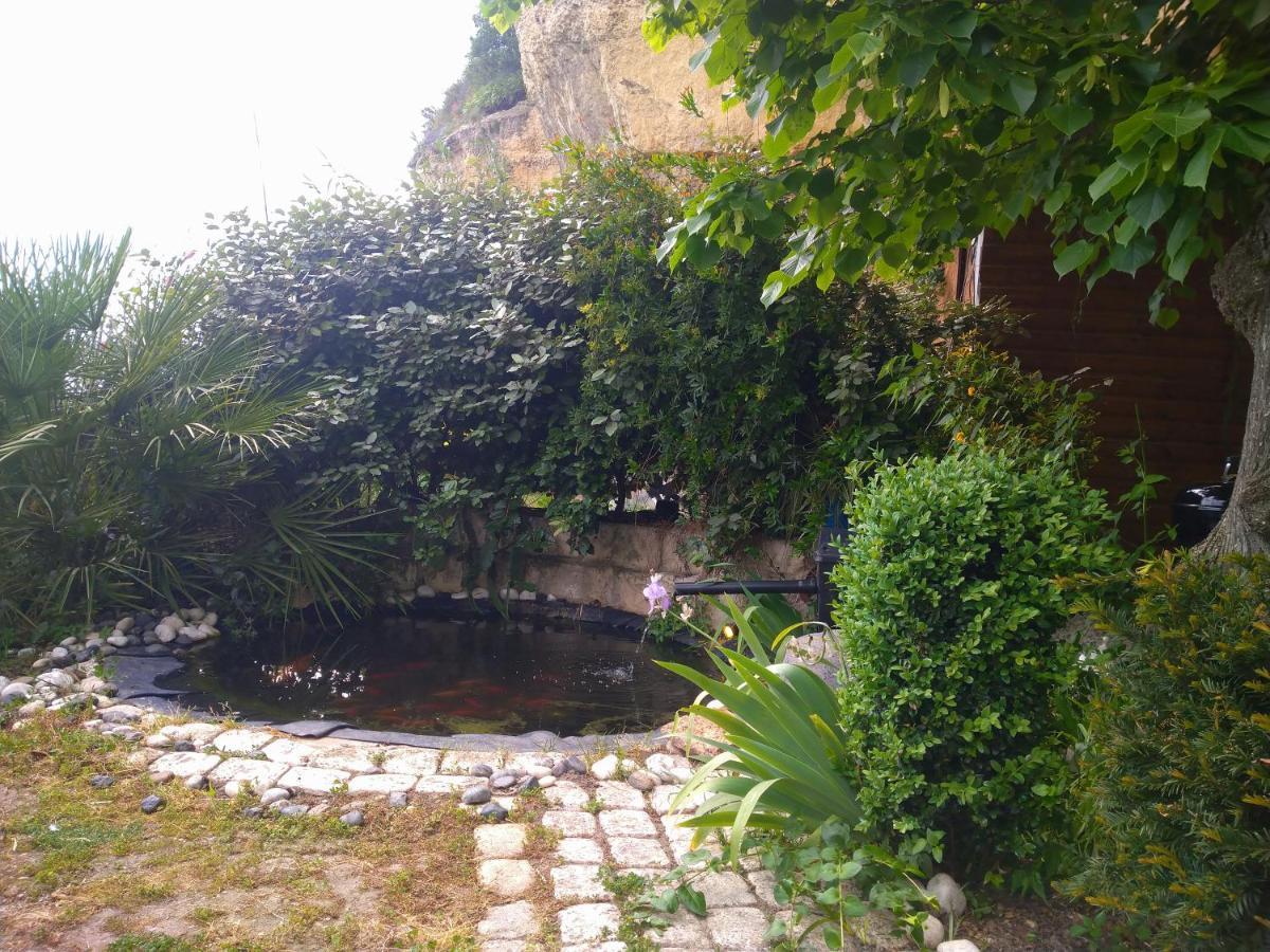 Le De La Loire Rochecorbon