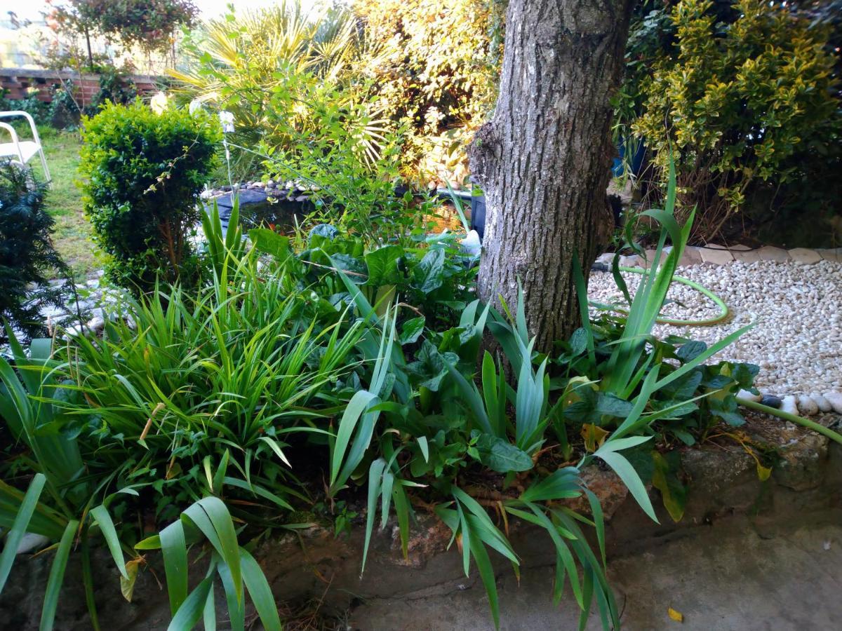 Le De La Loire Holiday home *